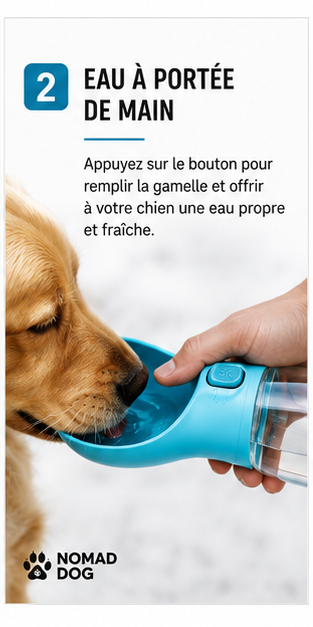 Gourde de randonnée pour votre chien
