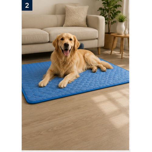Tapis rafraîchissant Nomad Dog