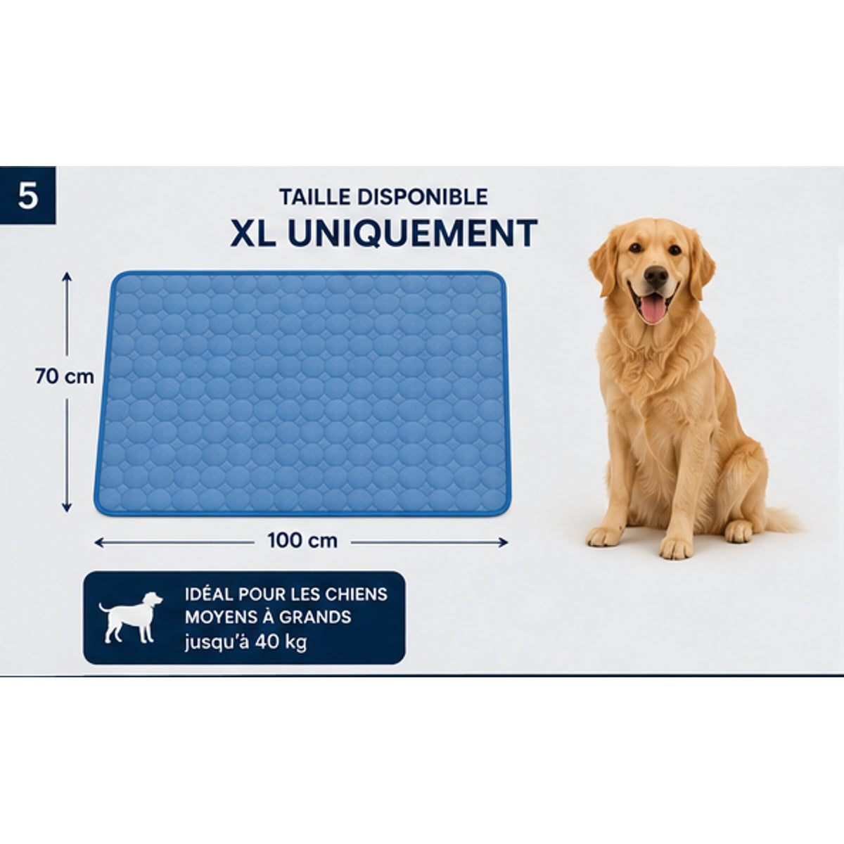 Tapis rafraîchissant Nomad Dog